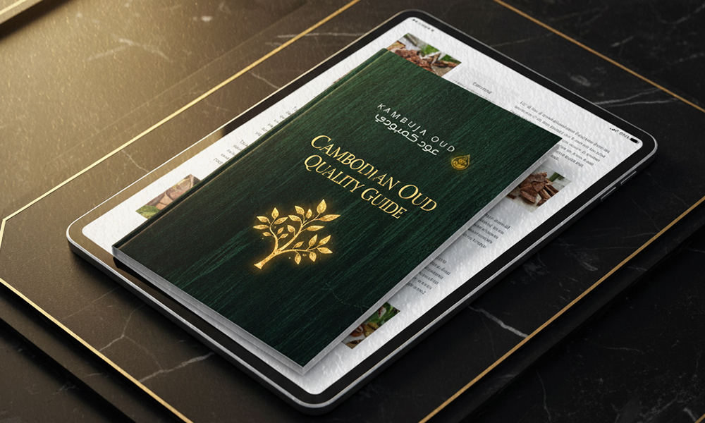 Cambodian Oud Hero Image